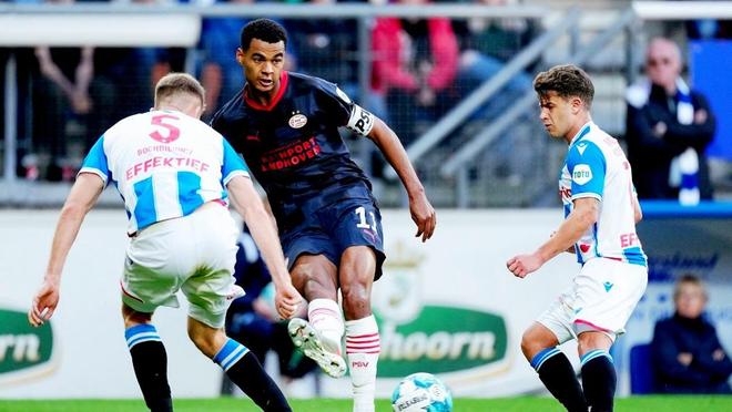 仅是她职业 仅是她职业