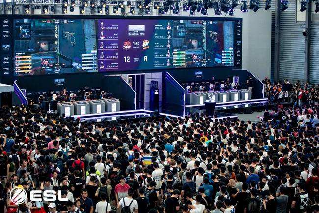 张的备赛工 张的备赛工