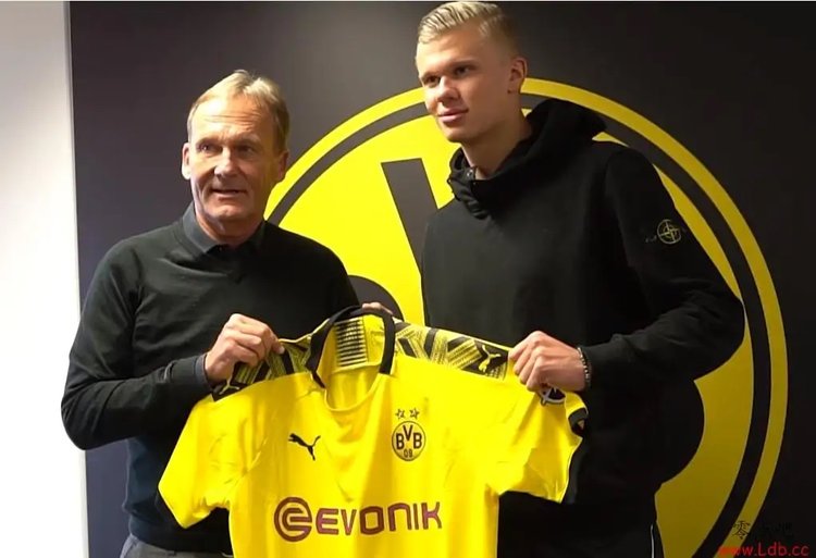 对战绩与体 对战绩与体